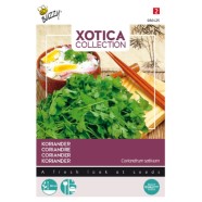 Xotica Coriander Herb Seeds